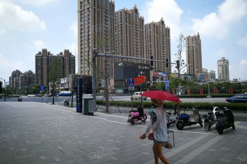 御上海青橙優點 不足,御上海青橙怎么樣,御上海青橙周邊房產中介經紀人評價