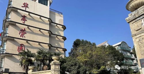 網(wǎng)傳上海阿姨坐擁90套房產(chǎn)和106個車位 有人去調查了