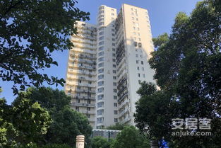香山麗舍 公寓 優(yōu)點(diǎn) 不足,香山麗舍 公寓 怎么樣,香山麗舍 公寓 周邊房產(chǎn)中介經(jīng)紀(jì)人評價(jià)