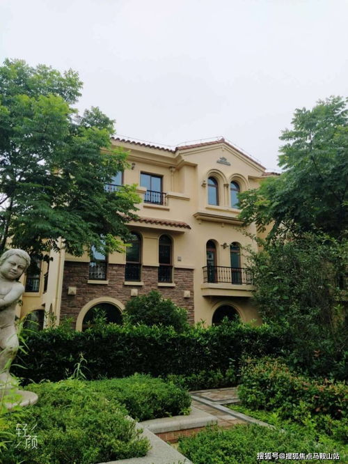 青浦 火到什么程度 開發商直銷 售樓中心